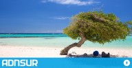 17:27 Tres provincias argentinas tendrán vuelos directos de Aerolíneas Argentinas a Aruba