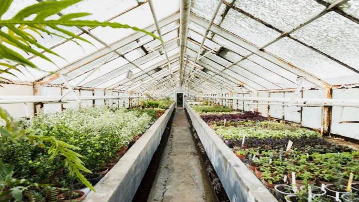 CAR impulsa la sostenibilidad en Cundinamarca y Bogotá con la construcción de 47 viveros comunitarios