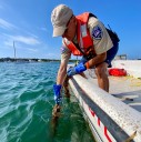 Westport gets tough on moorings
