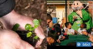 Iniciativa busca reforestar la región Metropolitana: realizan talleres gratuitos de bombas de semillas