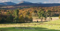 The North West forest that’s among England’s top spots for colourful leaves this autumn