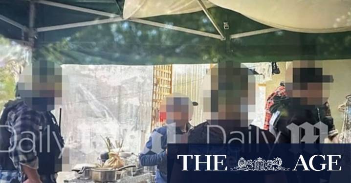 Police describe images of attempted Dezi Freeman arrest as ‘disappointing’