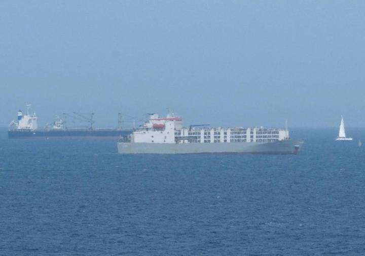 15.000 vacas para transportar droga en su paso por Canarias