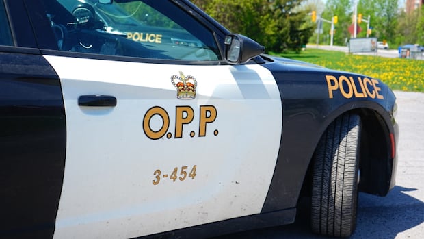 OPP investigating homicide after 25-year-old man found dead in remote area near Torrance, Ont.