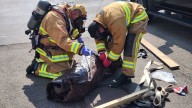 Dead dog found in grease pit at Madison Heights restaurant