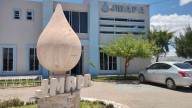Hallan en Sonora los 42 millones de pesos robados a JMAPA San Felipe; investigan posible complicidad