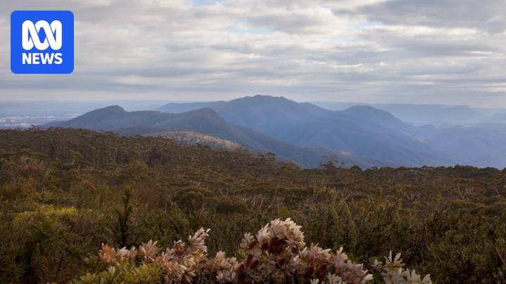 Emergency services resume efforts to reach crashed pilot in Budawang National Park