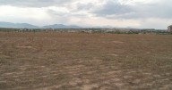 Colorado residents, council split on proposal to build senior living community on open space in Westminster