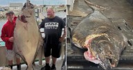 New Hampshire boy, 13, reels in 177-pound halibut while deep-sea fishing that may be a world record