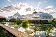 Asómbrate con la belleza del Conservatorio Phipps en Pittsburgh, E.U.