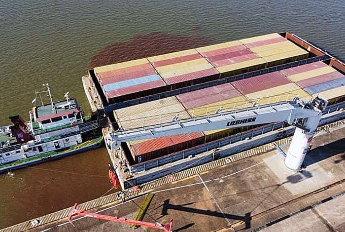 Alrededor de 120 contenedores de madera y té salen desde Posadas hacia Italia, China y Emiratos Árabes