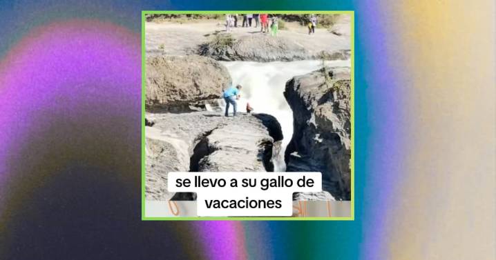 “Ese gallo tiene mejores vacaciones que yo”: hombre lleva a su gallo de viaje y lo fotografía frente a una cascada