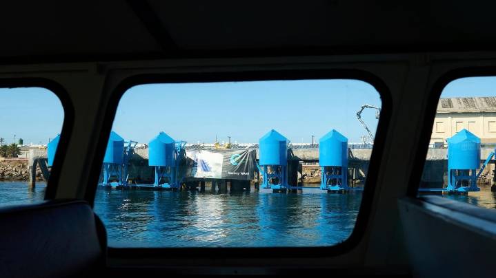 In LA port, bobbing blue floats are turning wave power into clean energy