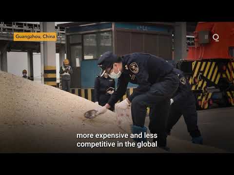 Oversupply and Uncertainty Weigh on US Farmers