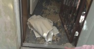 New Florida law requires landlords to disclose flooding history of property to tenants