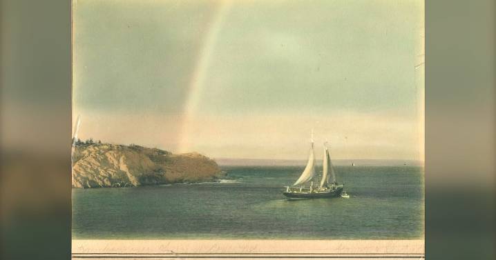 N.S. news: New book sheds light on WWII harbour tragedy