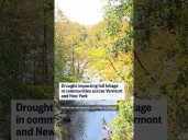 Drought impacting fall foliage in communities across Vermont and New York