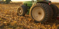 USDA to invest up to $18 million in farm to school grants