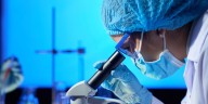 Descubrieron 27 bacterias y hongos que podrían triplicar el riesgo de desarrollar cáncer de páncreas