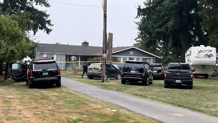 Person shoots home intruder in King County