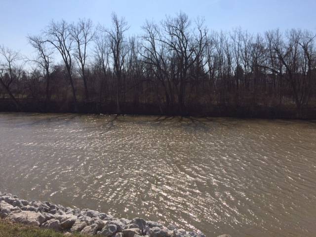 Campbell Soup admits to dumping waste into Ohio river, violating Clean Water Act 5,400 times