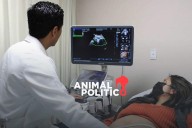 México registra 22 mil 031 muertes fetales en 2024; estas fueron las principales causas