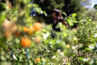 With her new cookbook, Vegan cheese pioneer hopes to democratize food