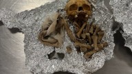 Human remains found at Tampa International Airport, U.S. Customs official says