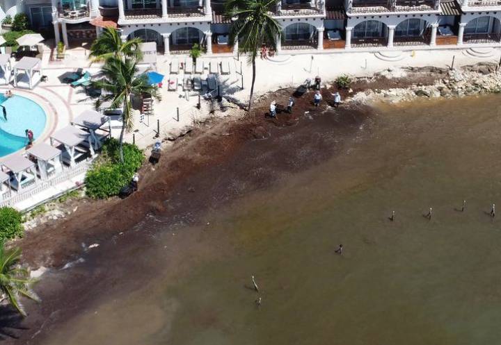 Pescadores reportan a la baja ocupación en Playa del Carmen