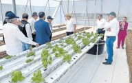 Trabajan para reforestar Juárez
