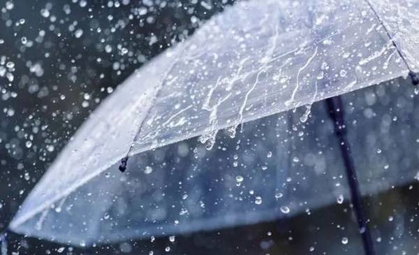 Santa Rosa desató su furia en La Plata: diluvio de madrugada y cuánto llovió, barrio por barrio