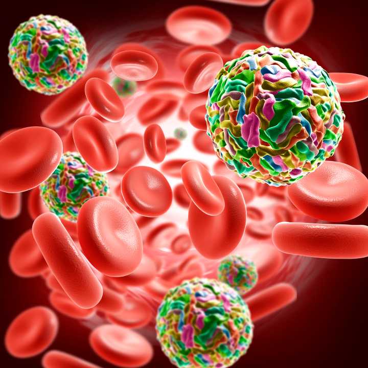 Immune System Flags Dengue Vaccination Vulnerabilities