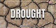Central Illinois farmers seeing moderate drought conditions can still expect good yield