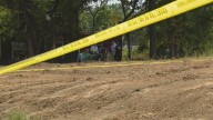 Buried human bones found by St. Louis forestry workers digging on lot