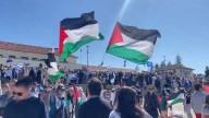 Sharri Markson: Pro-Palestine activists must never be allowed to sully Bondi Beach with hate again after weekend's violent, disruptive clashes