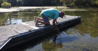 Hydrilla surges back after a decade's dormancy at Smith Mountain Lake