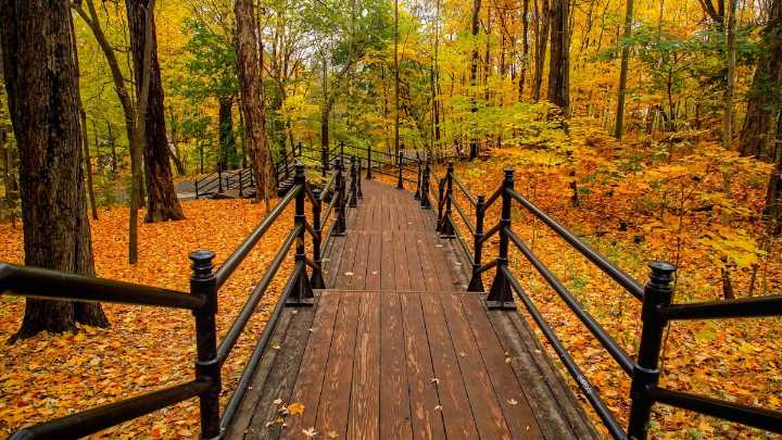 Parques estatales de Ohio son los #1 en todo Estados Unidos