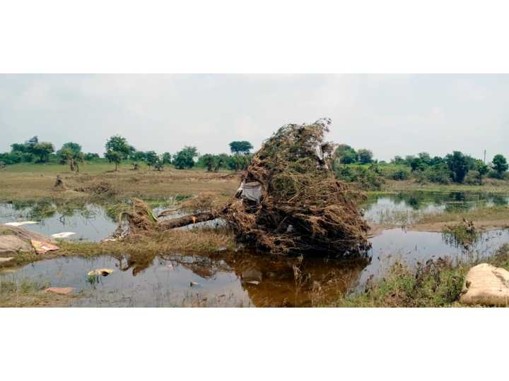 Heavy rains batter Maharashtra, NDRF rescues over 300 people