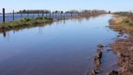 Estiman que hay más de 3 millones de hectáreas afectadas por las inundaciones en la provincia de Buenos Aires