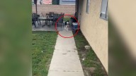 California Woman’s Rescue Dog Shows Something Special On Her First Night Home