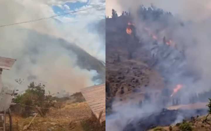 Incendio forestal arrasa más de 800 hectáreas en el Cusco