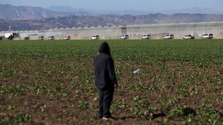 ‘Like Prime, but with human beings’: How the Trump administration is using AI to ramp up immigration enforcement