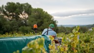 Se unen para sacar una marca de vino colectiva en la que trabaja el pueblo entero: luchar contra la despoblación y salvar la localidad
