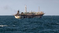 ¿De dónde viene el calamar que comemos en España? Un lado oscuro desconocido