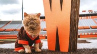 Bowling Green's unofficial mascot