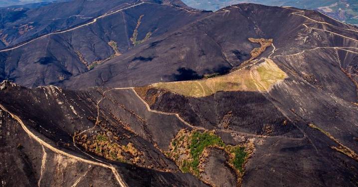 Así se ve desde el aire la devastación que dejan los incendios de este verano en España