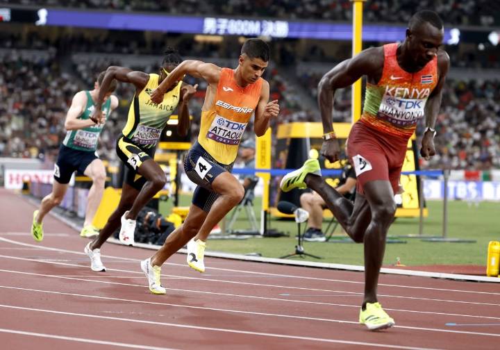 Attaoui, quinto en la final de 800