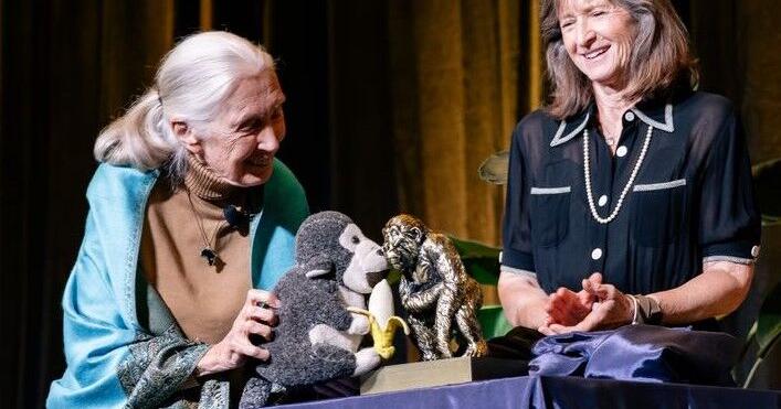 Dr. Jane Goodall headlines Lincoln Park Zoo fundraiser