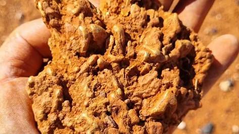Pair of prospectors have struck gold after finding a $160,000 nugget