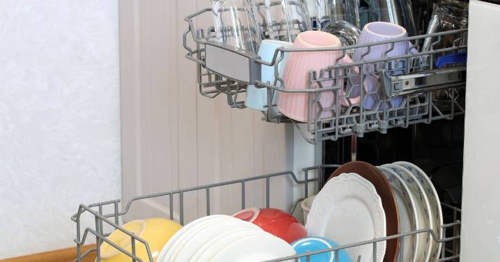Dishwasher hack solves the most annoying part of unloading, but there's a big catch